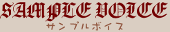 SampleVoice